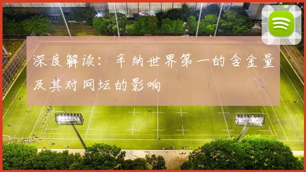 深度解读：辛纳世界第一的含金量及其对网坛的影响